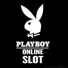 автомат playboy